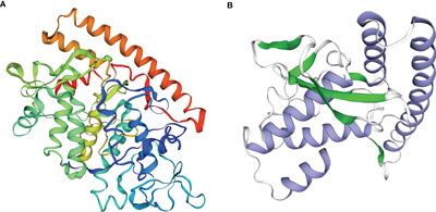 Recombinant Lactococcus lactis Expressing Grass Carp Reovirus VP6 Induces Mucosal Immunity Against Grass Carp Reovirus Infection